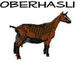 Oberhasli